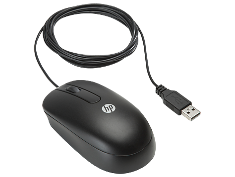 Мышь HP USB Optical Scroll QY777AA 